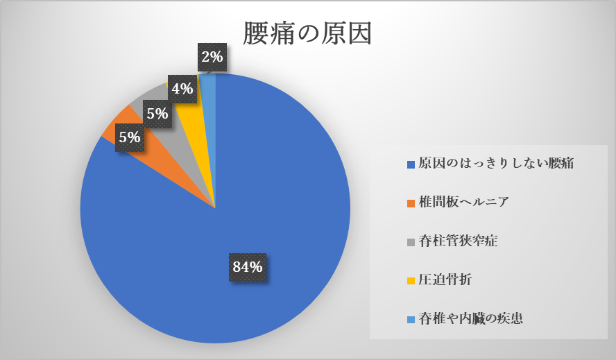 腰痛の原因に関するグラフ画像